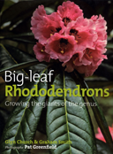 Big Leaf Rhododendrons: Growing the Giants of the Genus