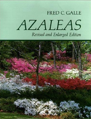 Azaleas