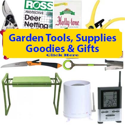 Garden Tools