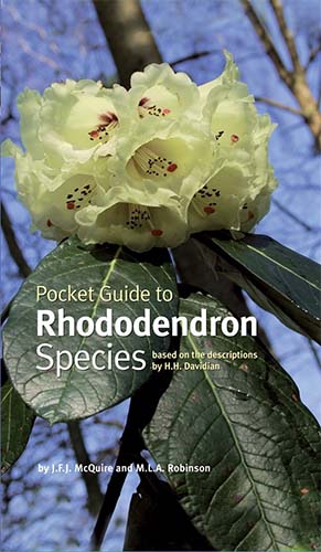 Rhododendrons